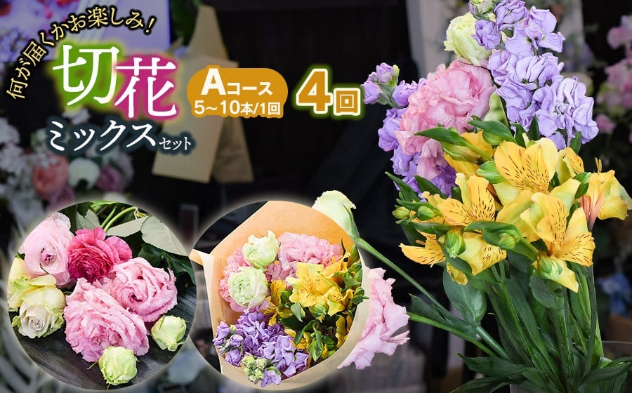 何が届くかお楽しみ★【4ヶ月定期便】鶴岡産 切花ミックスセット Aコース4回　花蔵（HANAZO）　K-733