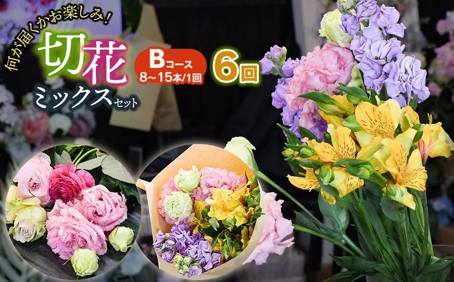 何が届くかお楽しみ★【6ヶ月定期便】鶴岡産切花ミックスセット Bコース6回　花蔵（HANAZO）　K-756