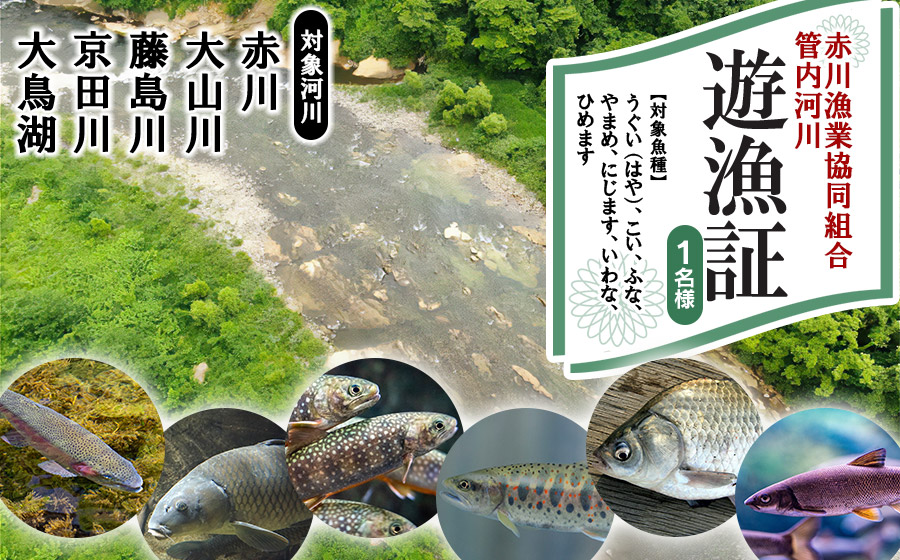 雑魚　遊漁証（赤川漁業協同組合管内河川）【期間：令和8年4月1日～9月30日まで】