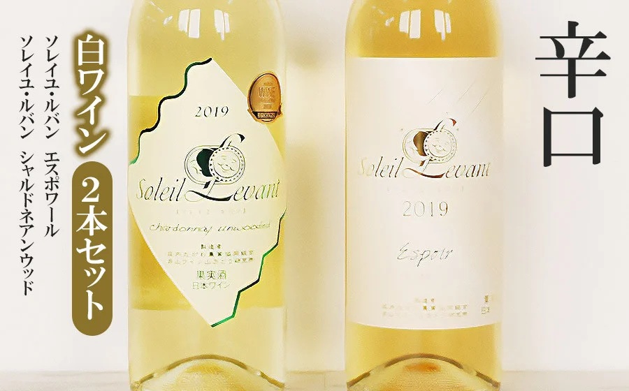 辛口白ワイン2本セット　K25-751