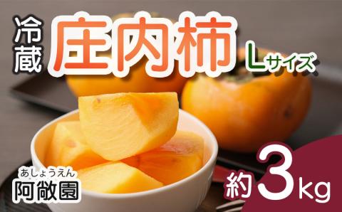 冷蔵  庄内柿　約３ｋｇ詰　Ｌサイズ　阿敞園