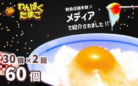 太陽の下放し飼いわんぱく卵 【2回お届け】「10個入×3パック」