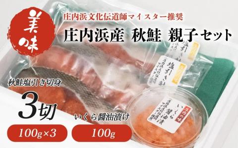 【庄内浜産】 秋鮭 親子セット　A25-401　【株式会社 手塚商店】