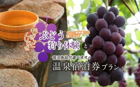 【※事前予約要】山形県鶴岡市　もぎっとくしびき「ぶどう果樹園入場券付宿泊プラン」