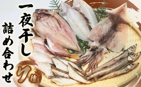 【鶴岡市 庄内浜】　一夜干し7種詰め合わせ　庄内観光物産館