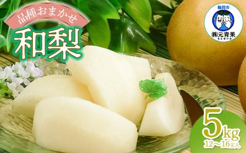 【令和6年産先行予約】 和梨 品種おまかせ 5kg (12～16玉) 秀品 山形県鶴岡市産　株式会社 元青果