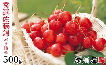 【2024年 令和6年産 先行予約】さくらんぼ 佐藤錦 秀選バラ詰め【500g】（Lサイズ）　株式会社 清川屋