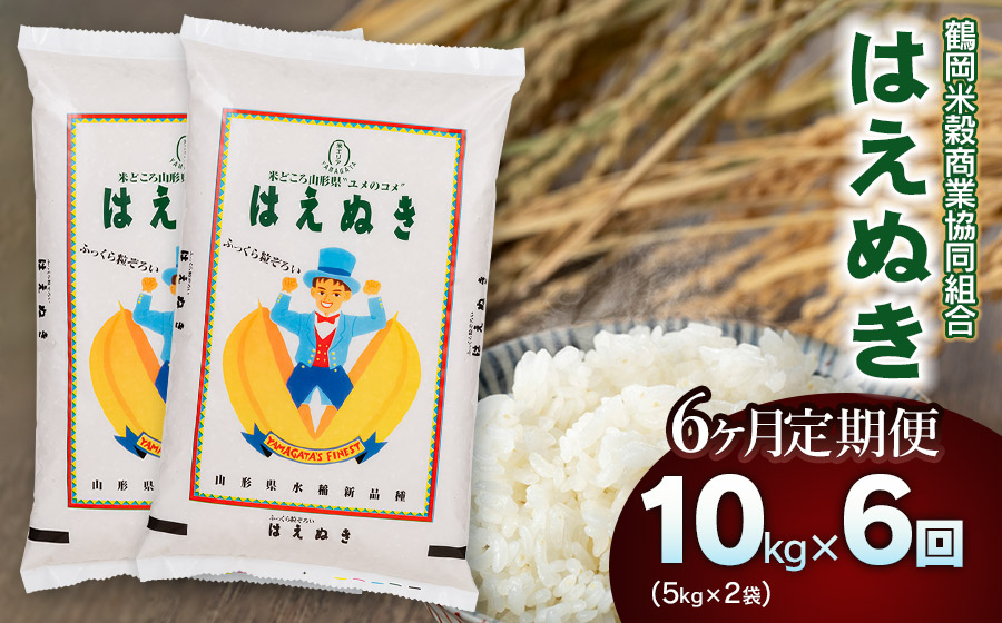 [令和6年産] はえぬき10kg(5kg×2)[6回定期便] 山形県庄内産 鶴岡米穀商業協同組合