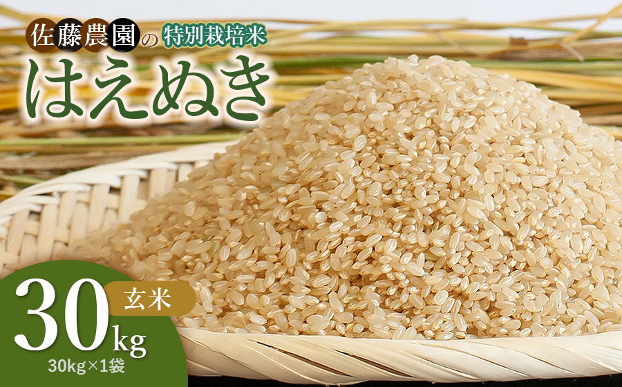 Bluegreen はえぬき玄米30キロ2袋セット はえぬき玄米30キロ 山形県産はえぬき 玄米30キロ 令和5年産 公式