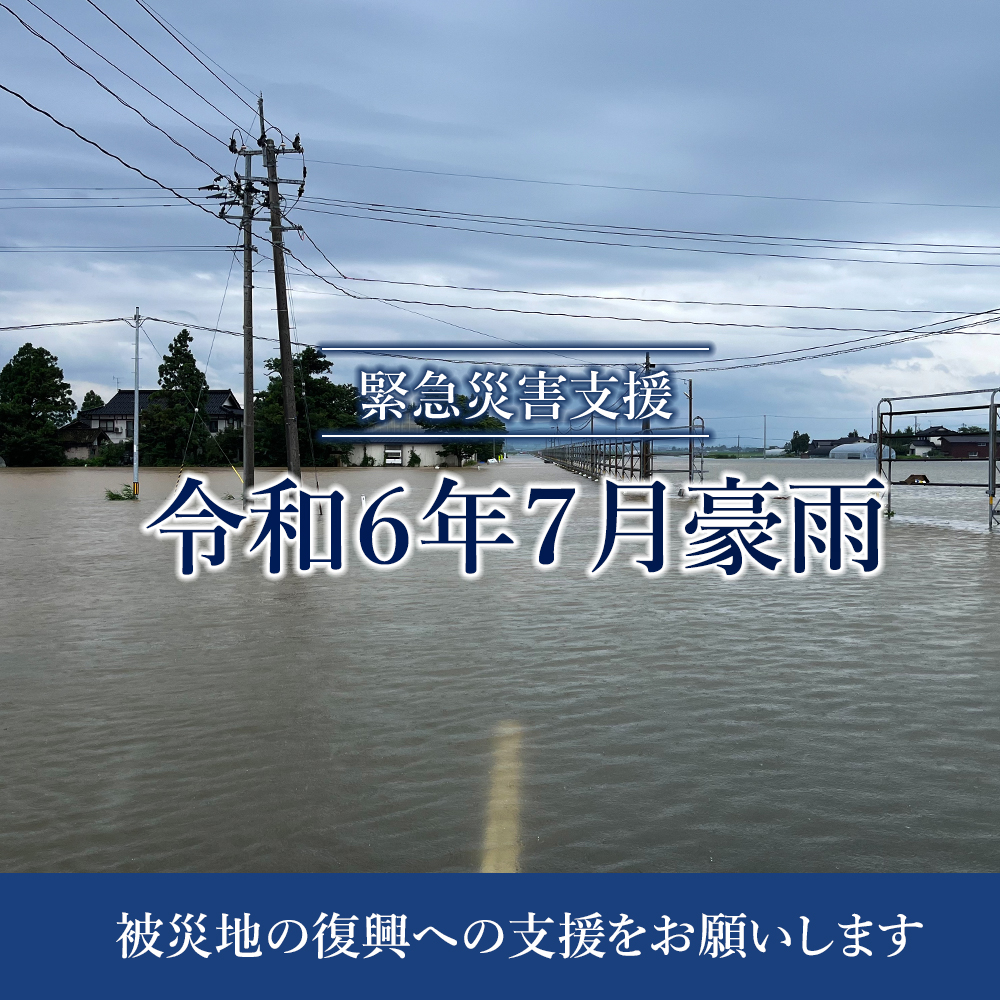 鶴岡市令和6年7月豪雨災害支援【返礼品なし】