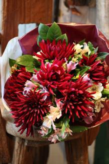 SL0213　とれたて「酒田のダリアの花束」