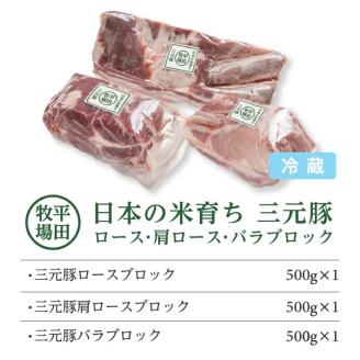 SC0507　【平田牧場】日本の米育ち 三元豚 ブロック肉3種セット　計1.5kg(ロース、肩ロース、バラ 各500g)