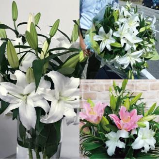 SBT0014　【12回定期便】オリエンタルユリの花束