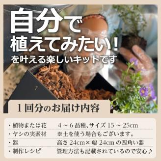 SL0232　【12回定期便】植物と花を育てるキットの定期便「植物の寄せ植えキット スクエア12」