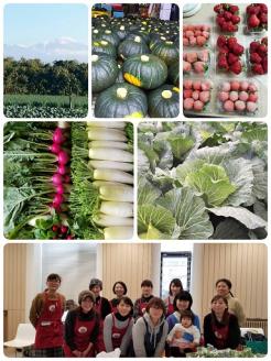 SA0484　酒田市農業女子会が贈るおまかせお野菜セット