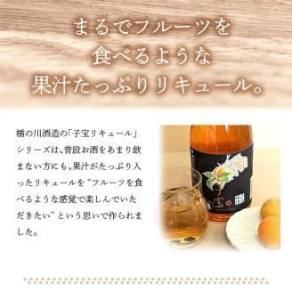 SA1903　酒田の酒屋厳選　子宝リキュール　大吟醸梅酒　720ml×1本