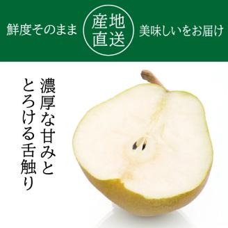 SA2590　酒田の美味しいラ・フランス(洋梨) 秀品　2.5kg以上(6～9玉入)
