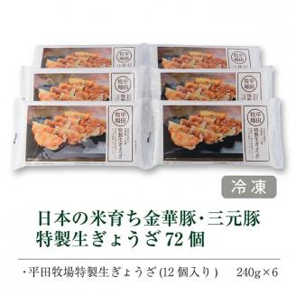 SA0779　平田牧場　特製生ぎょうざ 72個セット(12個入×6パック)