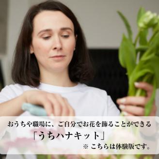 SL0238　自分でお花を飾ろう「うちハナキット」体験