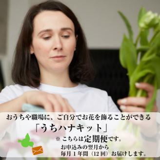 SL0228　【12回定期便】毎月お花を飾ろう 「うちハナキット 12」