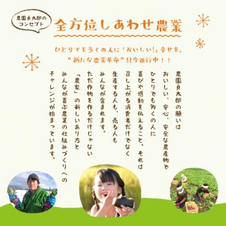 SA0587　SHONAI PRIDE　季節のこだわり野菜セット