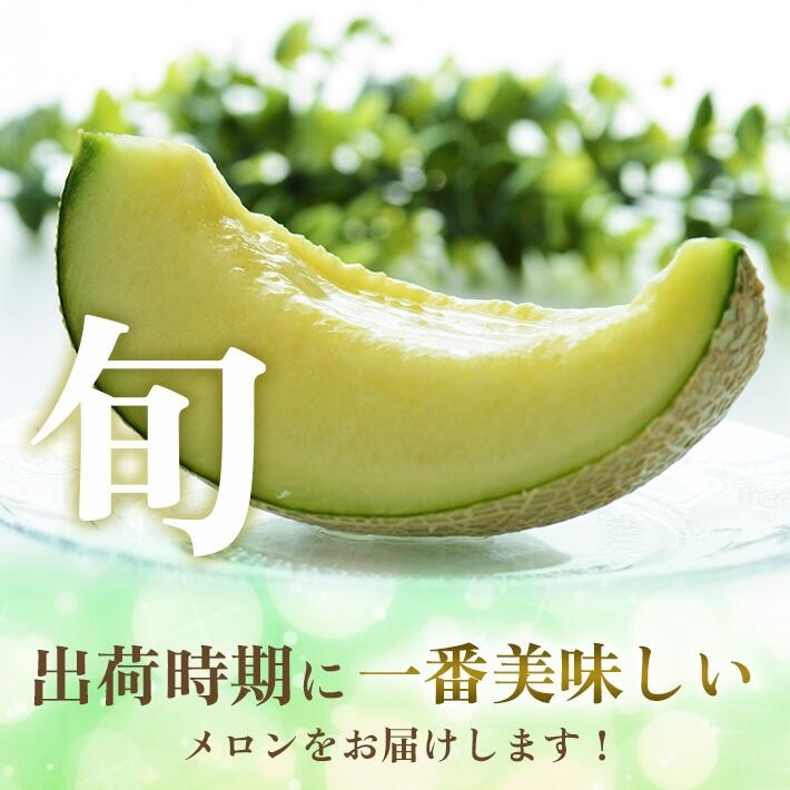 SA2812　庄内砂丘プレミアムメロン(青肉・赤肉) 各1玉 1.7kg以上　計2玉