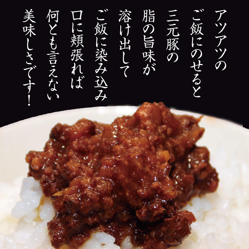 SZ0247　【平田牧場三元豚使用】ご飯にかける生姜焼き　計1個(80g×1個)