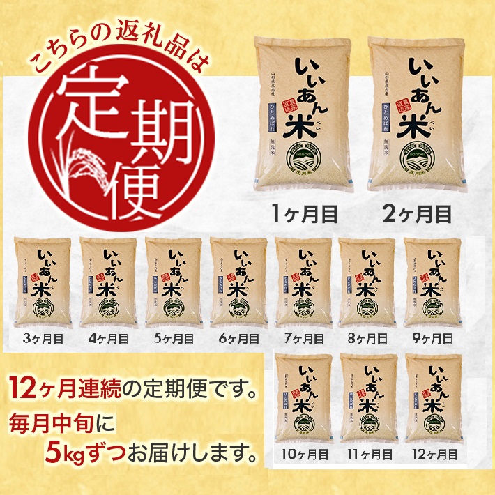 SU0018　【12回定期便】無洗米ひとめぼれ　5kg×12回(計60kg)　農家直送『いいあん米』AG