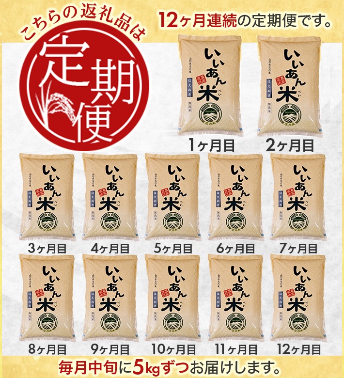 SU0019　【12回定期便】無洗米はえぬき　5kg×12回(計60kg)　農家直送『いいあん米』AG
