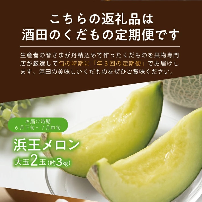 SE0470　【3回定期便】酒田の果物専門店厳選　くだもの定期便2026 (浜王メロン、和梨、庄内柿)