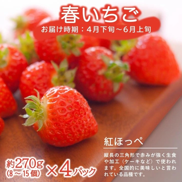 SE0464　【3回定期便】農家直送 旬のフルーツ定期便2026 (いちご、庄内メロン、いちじく)