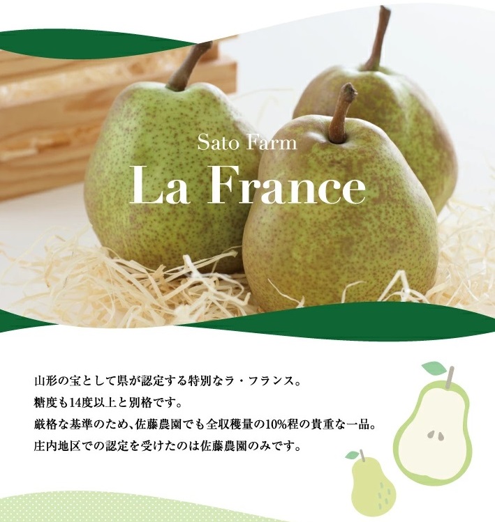 SA2719　六代多右エ門　西洋梨 特選 ラ・フランス《山形セレクション》　約3kg(9～10玉) 2L～3Lサイズ 化粧箱入
