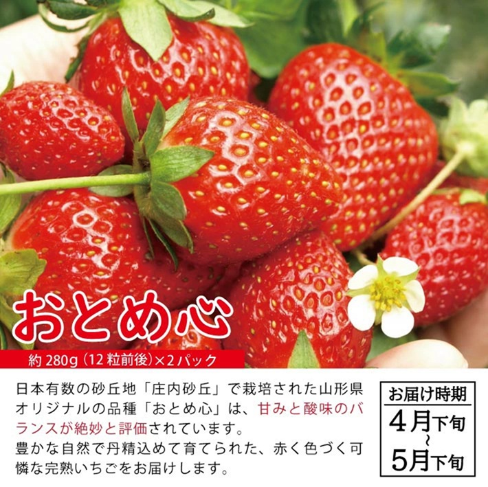 SC0627　【3回定期便】自然の恵みフルーツ定期便2026(2) (いちご、アンデスメロン、柿)