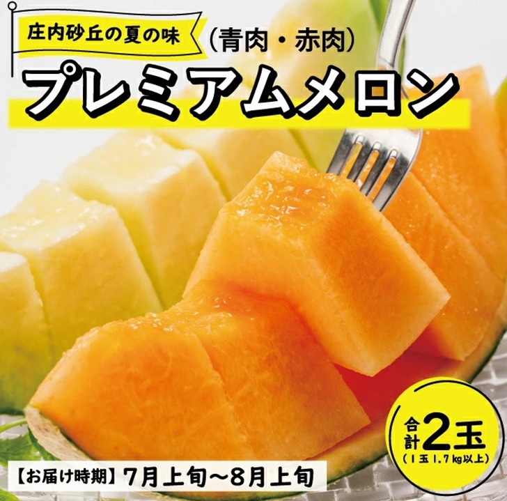 SE0479　【3回定期便】酒田の季節のフルーツ頒布会 Ｂコース2026(プレミアム〔大玉〕メロン、刈屋梨、ラ・フランス)