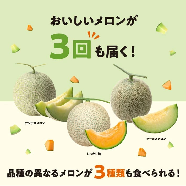 SE0503　【3回定期便】メロン好きに贈る メロンづくしの定期便2026(1) (アンデスメロン、しっかり娘、アールスメロン)