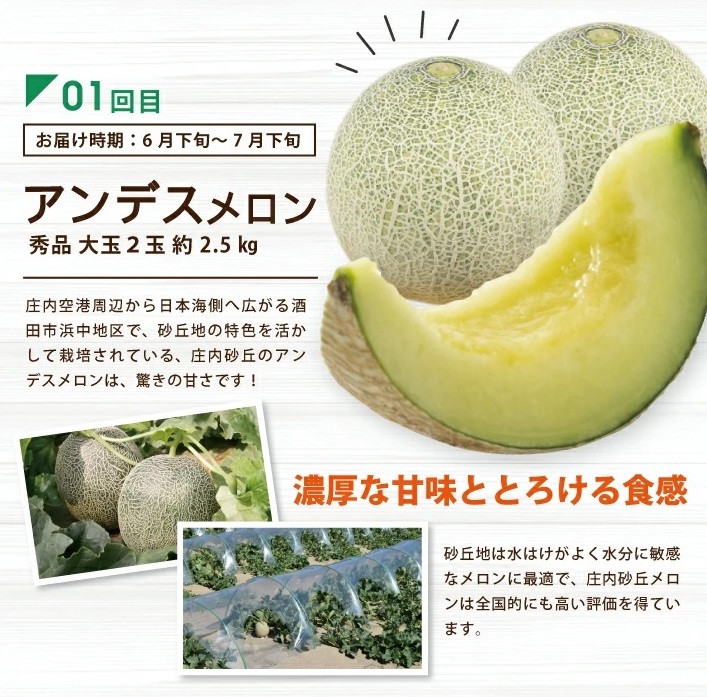 SD0215　【3回定期便】酒田の実り定期便2026 (アンデスメロン、刈屋梨、庄内柿)