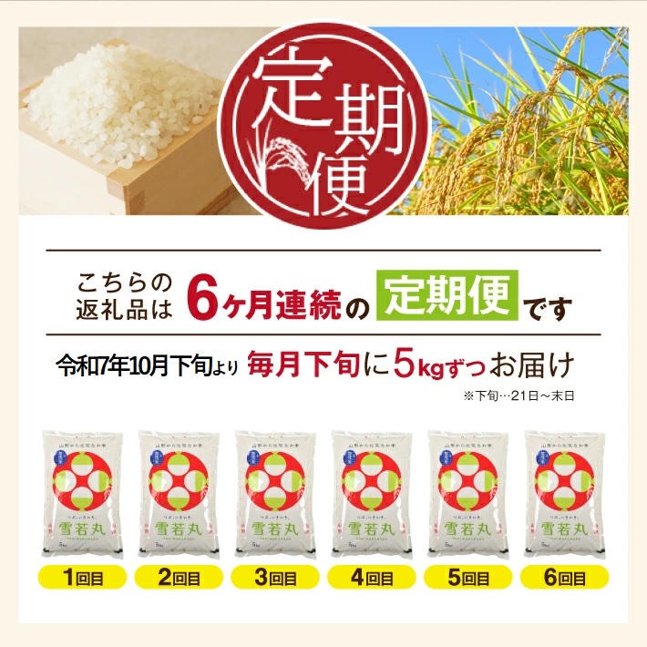 SJ0048　【6回定期便】令和7年産 無洗米 特別栽培米 雪若丸　5kg×6回(計30kg)10月下旬発送開始「農家直送」 KA