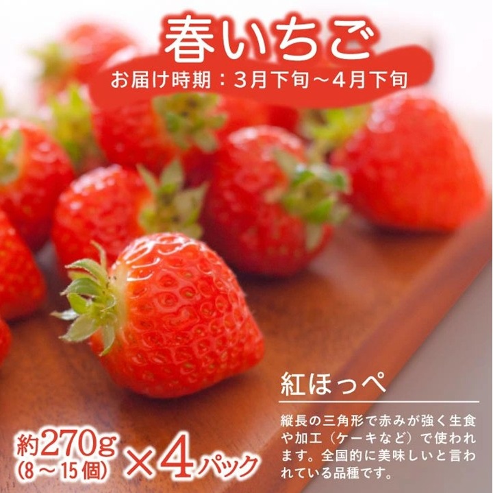 SE0463　【3回定期便】農家直送 こだわりのフルーツ定期便2026 (いちご、庄内メロン、いちじく)