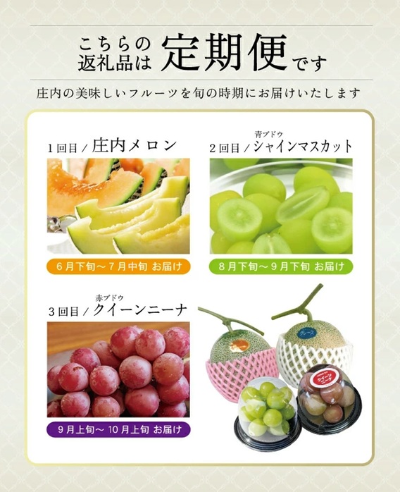 SE0465　【3回定期便】農家直送 フレッシュフルーツ定期便2026 (庄内メロン、青ぶどう、赤ぶどう)