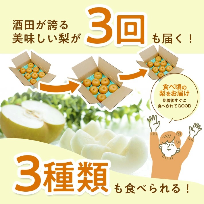 SE0509　【3回定期便】酒田産 特選 和梨3種味比べ定期便2026 (幸水梨、豊水梨、和梨〔品種おまかせ〕/各約3kg)