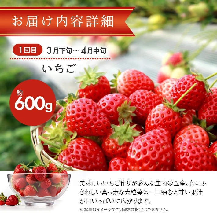 SE0484　【3回定期便】おいしい酒田 マルっとお届け便2026(1) 3月下旬～ (いちご、紅花メロン、刈屋梨)