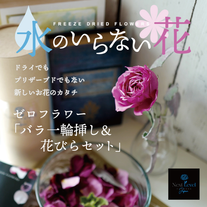 SL0210　水のいらない花　ゼロフラワー「バラ一輪挿し＆花びらセット」