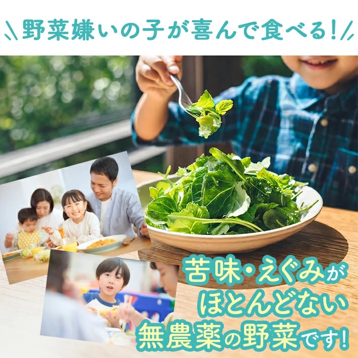 SA2136　「まほうのやさい すこやかセット」　ベビーリーフ　計900g(100g×9袋)