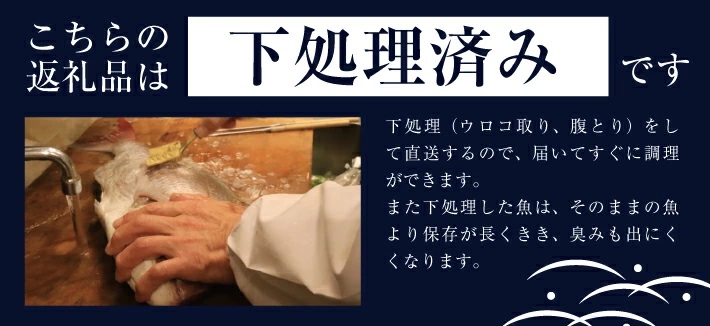 SB0522　地魚おまかせセット(下処理済)　計1kg以上(3～5種類入)