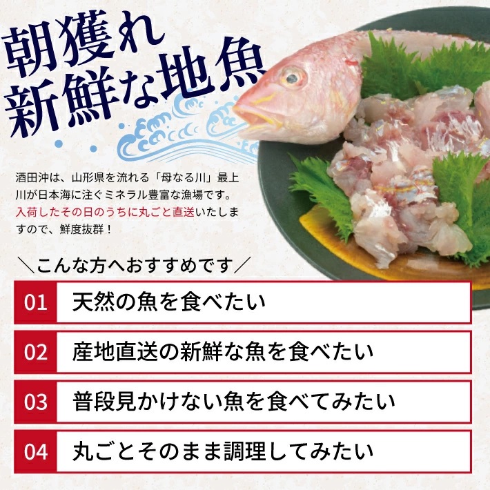 SB0523　地魚おまかせセット　計2kg以上(4～6種類入)