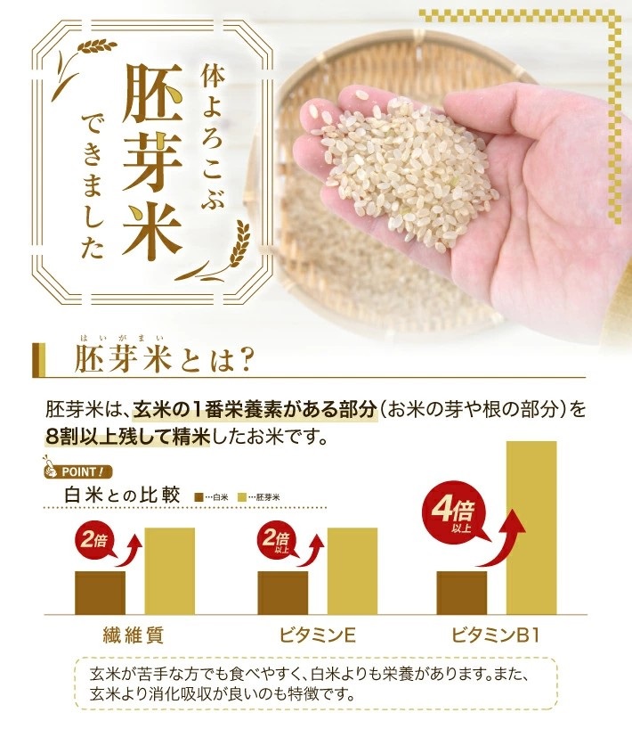 SA2837　令和7年産 【胚芽米】 ひとめぼれ 5kg×1袋 YA