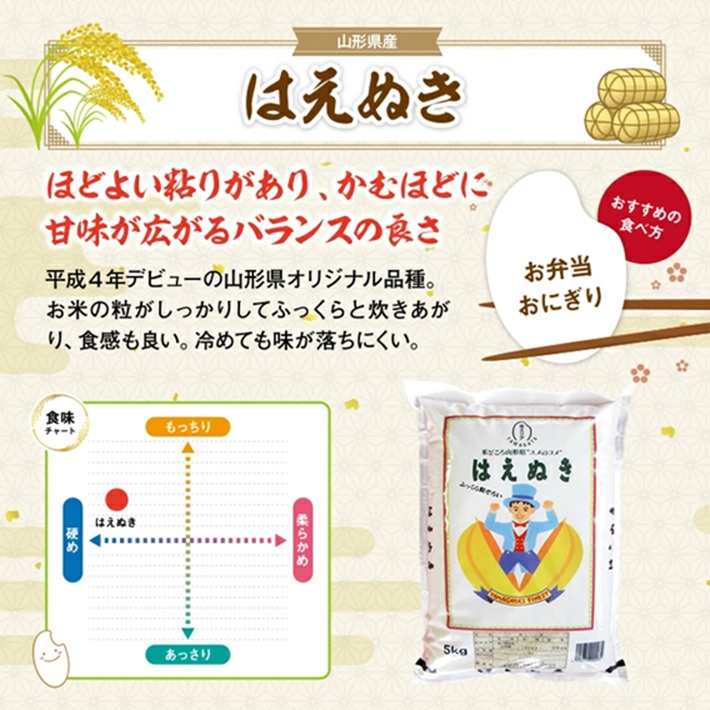 SB0795　令和7年産【精米】はえぬき　5kg×1袋 AB