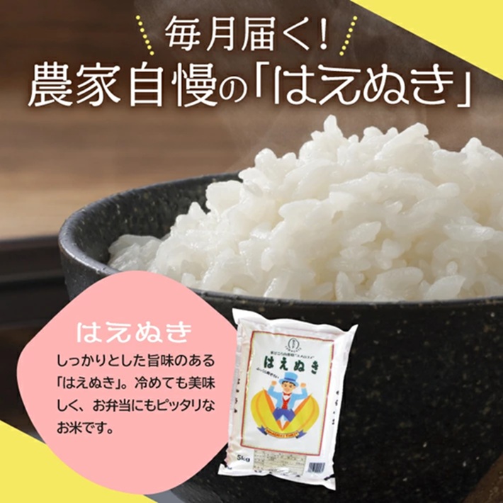 SM0050　【6回定期便】 山形米 はえぬき 5kg×6回(計30kg) AB