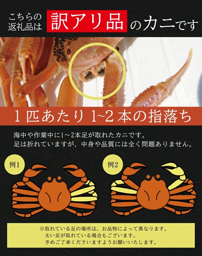 SB0765　【訳あり】春の生・本ズワイガニ 2匹(計650g程度)
