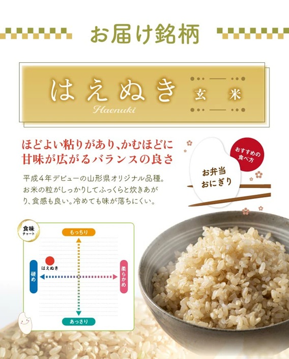 SA2802　令和7年産【玄米】はえぬき　5kg(5kg×1袋) 農家直送 HO